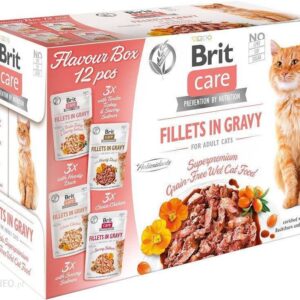 Brit Care Cat Saszetki Dla Kota Filety Mięsne I Rybne W Sosie 12X85G