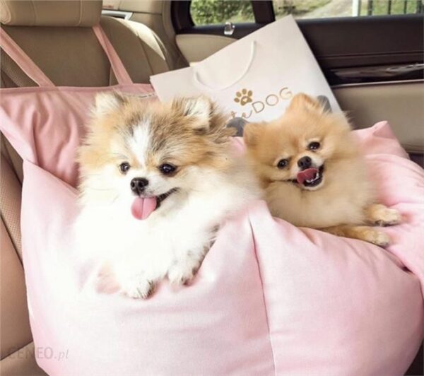 CuteDog Fotel Samochodowy Pink Kiss Big 2in1