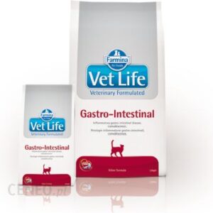 Fermina Cat Vet Life gastro Intestinal 400g