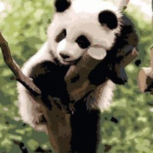 Ipicasso Panda Malowanie po numerach 40x50 cm