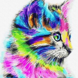 Ipicasso Tęczowy Kot Malowanie Po Numerach 40x50 cm