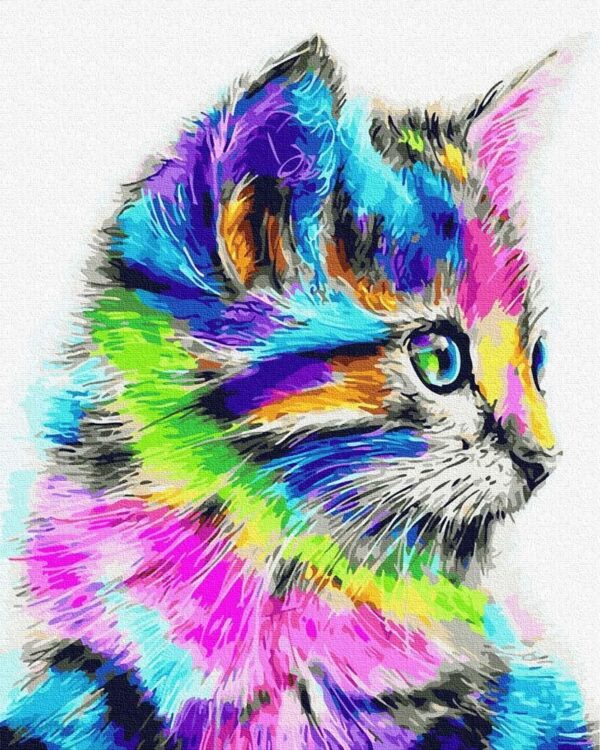 Ipicasso Tęczowy Kot Malowanie Po Numerach 40x50 cm