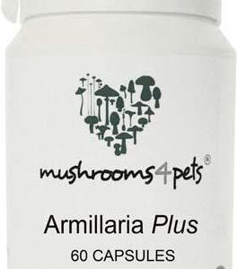 Mushrooms4Pets Armillaria Plus 450Mg 60Szt