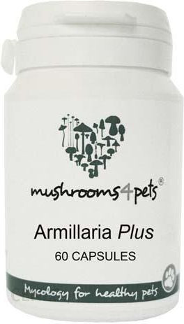 Mushrooms4Pets Armillaria Plus 450Mg 60Szt