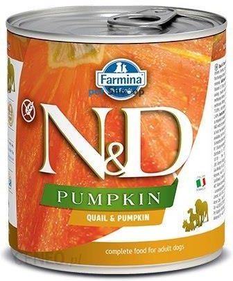N&D Pumpkin Quail 285G