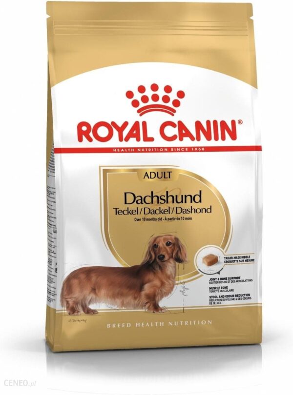 Royal Canin Dachshund Adult 1