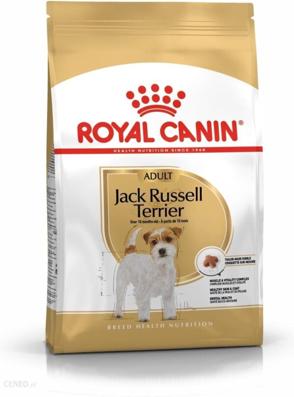 Royal Canin Jack Russell Terrier Adult 1