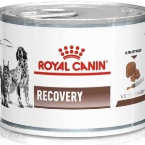 Royal Canin Veterinary Diet Recovery Cats/Dogs 24x195g