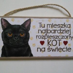 Tabliczka dekoracyjna z motywem /Kot Czarny