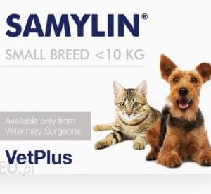 Vet Plus Limited Vetplus Samylin Dla Psów Małych Ras I Kotów 30tabl.