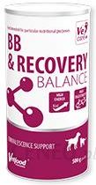VetFood BB&Recovery Balance 500g