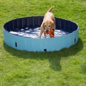 Zooplus Dog Pool Basen Dla Psa - 160X30 Cm (407293.2)