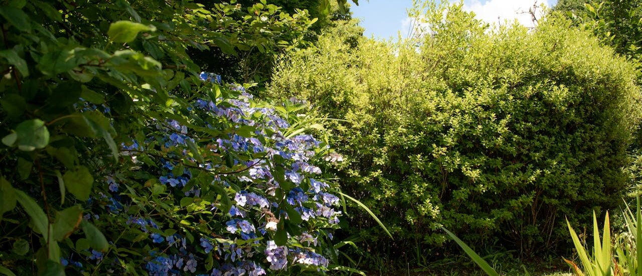 Świder glebowy STIHL – sprzęt, który ułatwia pracę w ogrodzie i na budowie