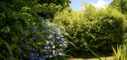 Świder glebowy STIHL – sprzęt, który ułatwia pracę w ogrodzie i na budowie