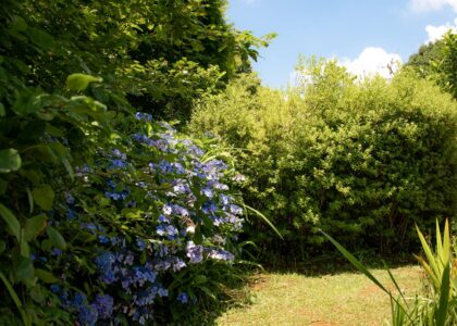 Świder glebowy STIHL – sprzęt, który ułatwia pracę w ogrodzie i na budowie